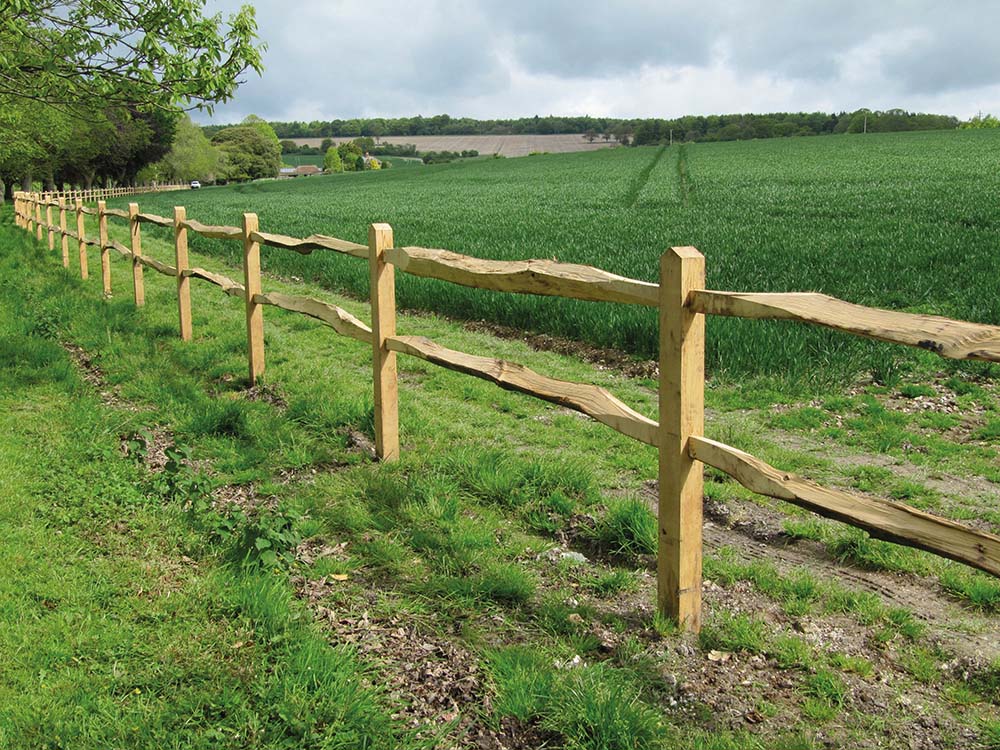 Making the Best of British Fencing and Landscaping News