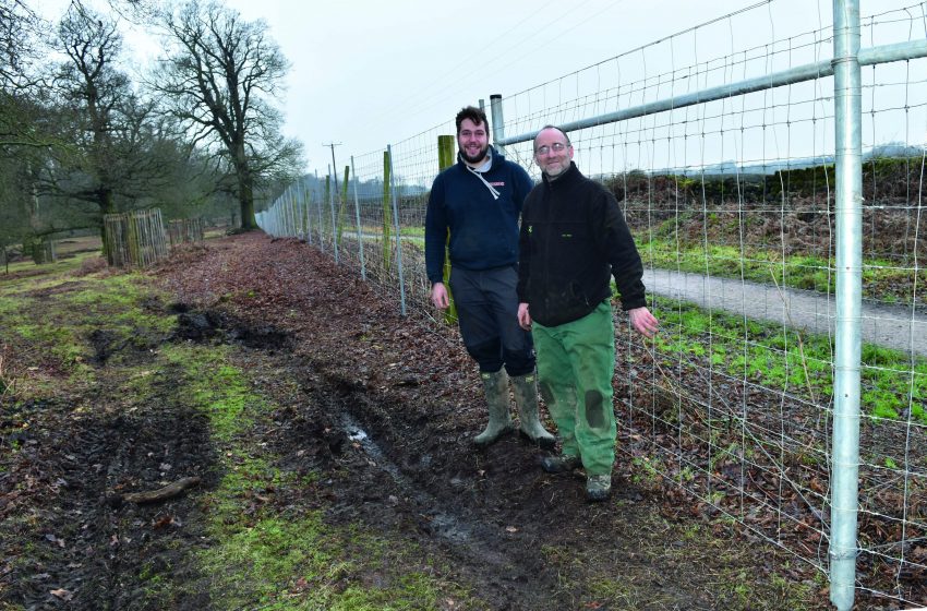  The National Trust’s Calke Abbey choose Hampton’s Metal Strainer System