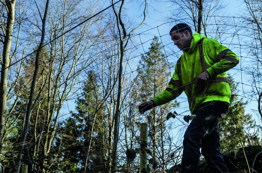  TORNADO KNOWS THE DIFFERENCE