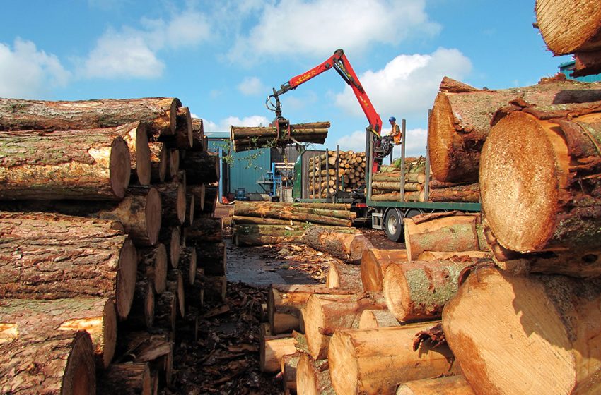  Thomson Sawmills invests for success