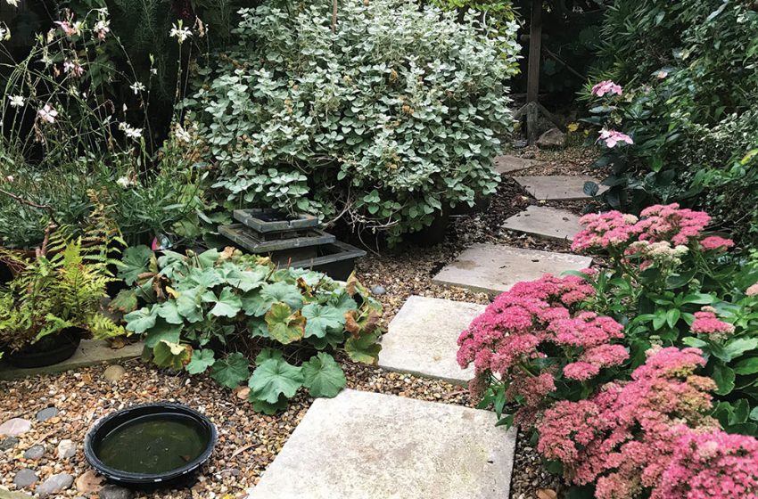  Up the Garden Path
