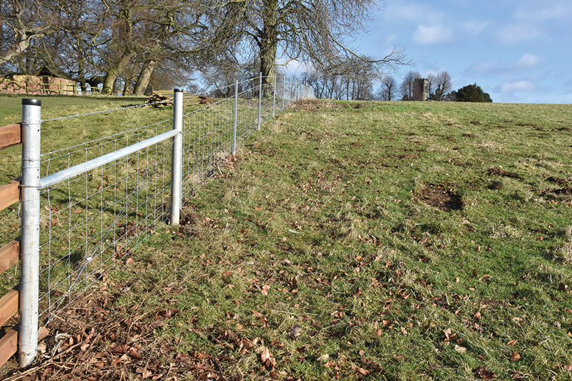  Hampton’s Metal Fence Systems Chosen by The National Trust’s Calke Abbey
