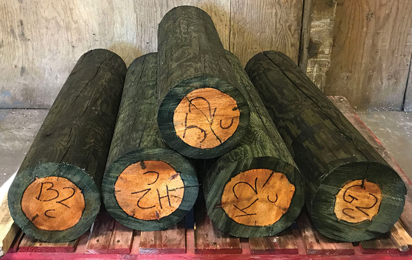  TANASOTE – A modern preservative system for Poles, Sleepers and high performance timbers.