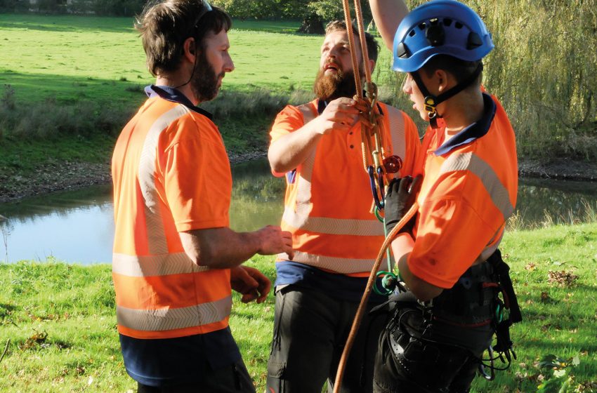  MAYDENCROFT ENDORSES APPRENTICESHIP SCHEMES