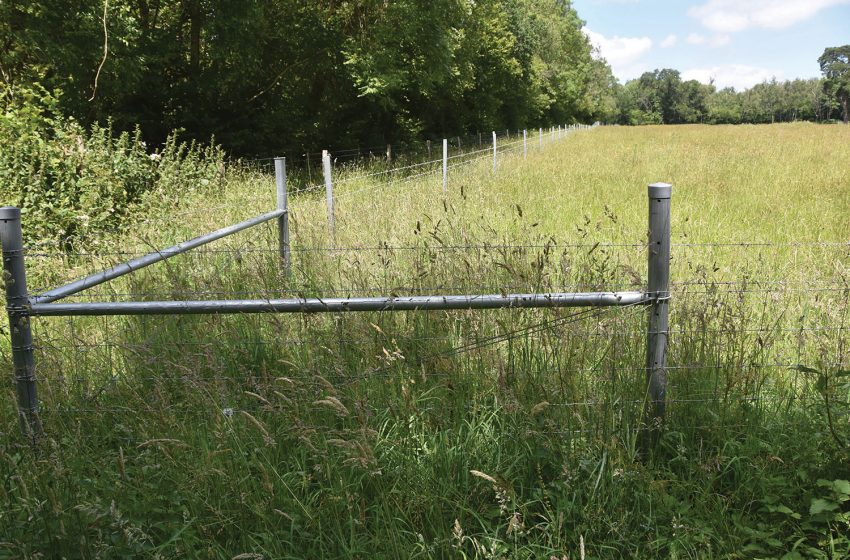  OUT WITH THE OLD, IN WITH THE NEW GENERATION OF HAMPTON FENCING SYSTEMS FOR HARTING DOWN, NATIONAL TRUST