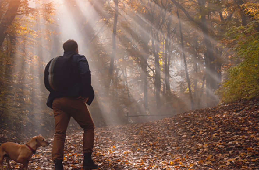  TILHILL FORESTRY’S GROUND-BREAKING MENTAL HEALTH FIRST AID PRESCRIPTION