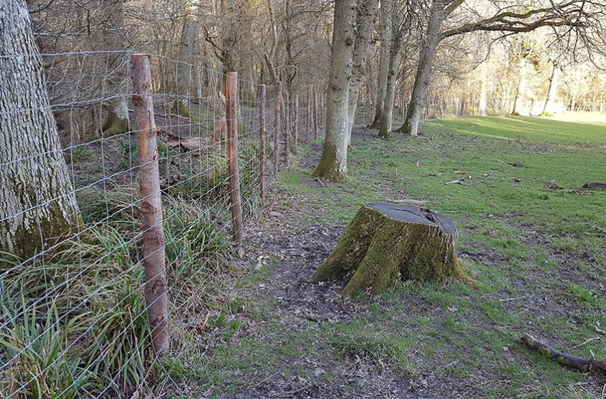  HAMPTON’S DONATION OF DEER FENCING TO ‘WILDLIFE FOR ALL’ CHARITY