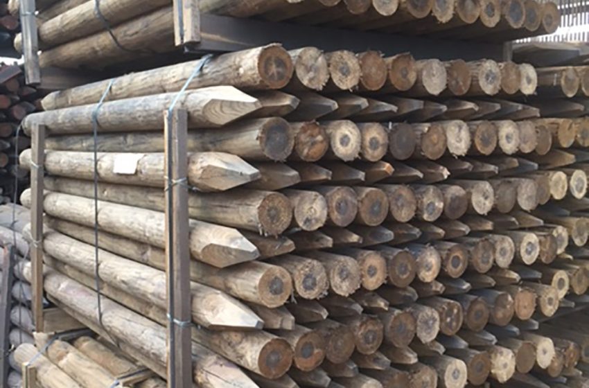 FROM ROYALS TO RAILWAY SLEEPERS, C&G HAVE IT COVERED