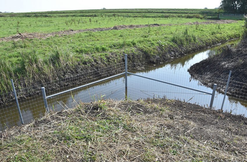  THE RSPB CHOOSES HAMPTON’S METAL POSTS FOR PETERBOROUGH FLOODPLAIN
