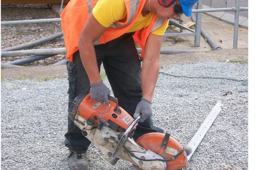  DO YOU NEED CAT TRAINING?