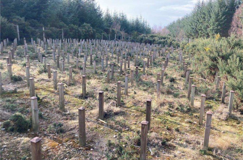  INDEPENDENT SCIENTIFIC STUDY CONFIRMS TREATED WOOD PERFORMANCE