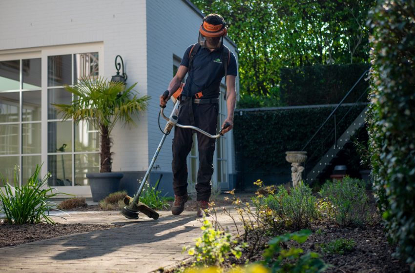  MILLIONS OF HOMEOWNERS TO INVEST IN OUTDOOR SPACES THIS SUMMER