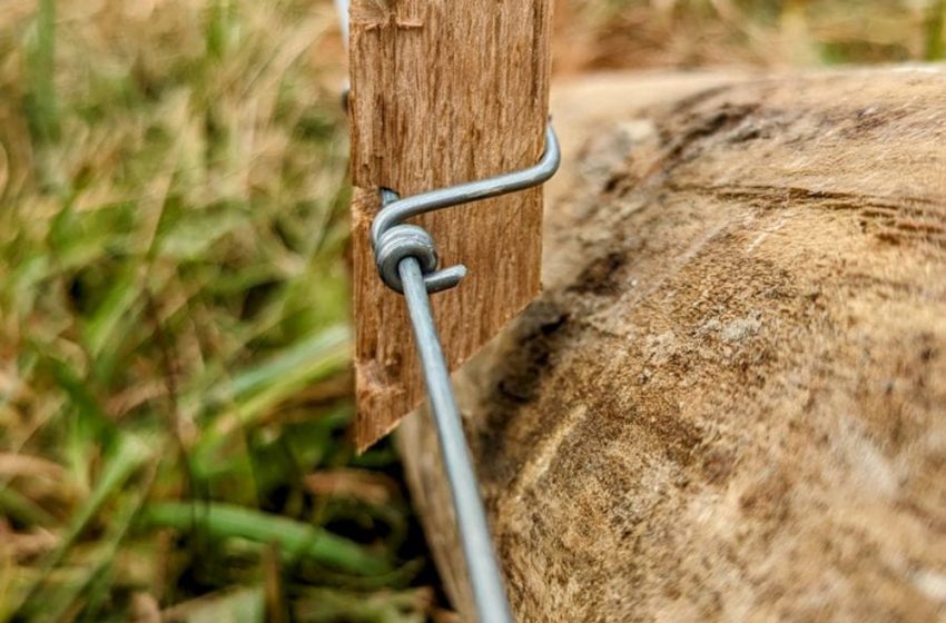  U.S PLATINUM STRAINER DOUBLES CHAMPIONSHIP