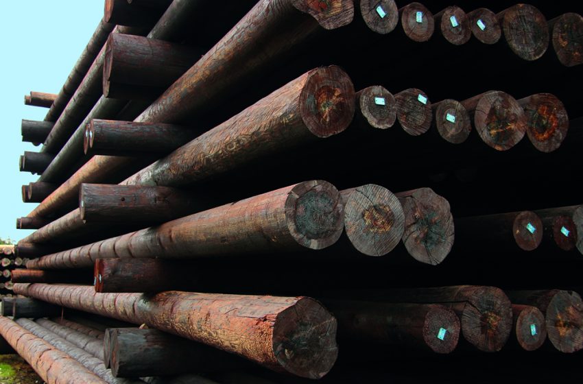 WPA PROVIDES CLARIFICATION ON CREOSOTE