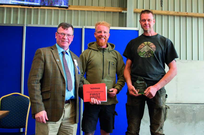  A FENCING CHALLENGE AT NSA SCOTSHEEP!