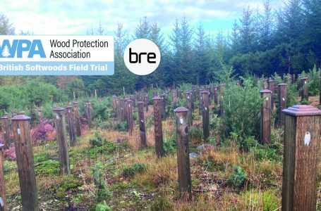 TREATED TIMBER FIELD TRIAL EXTENDED