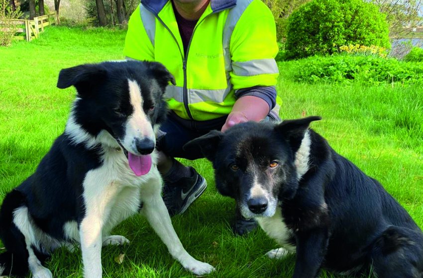  TALES… FROM THE FAR NORTH