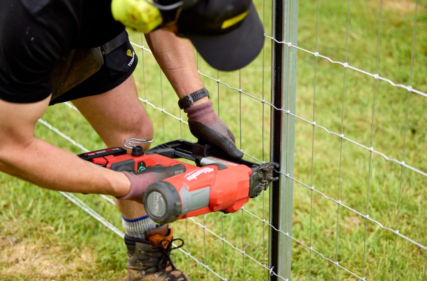  FROM VISION TO REALITY