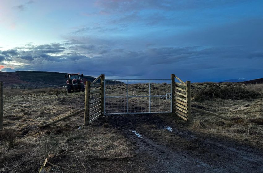  TALES FROM THE FAR NORTH: SWELTERING IN SUTHERLAND!