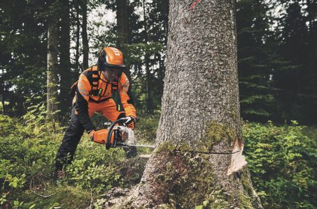 STIHL LAUNCHES MD 400.1 PETROL CHAINSAW