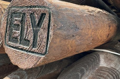 ELLPRO TIMBER GETS IT RIGHT