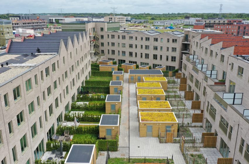  GREEN THAT DOES MORE THAN DEFINE A BOUNDARY