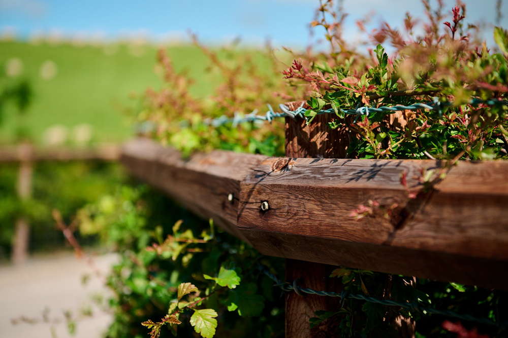 Octabost THE UNIQUE OCTO RAIL FENCING SYSTEM - Fencing and Landscaping News