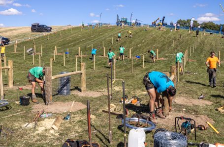 APF CELEBRATES GOLDEN ANNIVERSARY