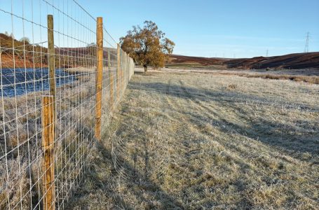 HAMISH EMBRACES THE GREAT OUTDOORS