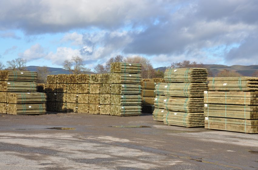  A year of Growth, Investment & Setting the Standard at CJT.