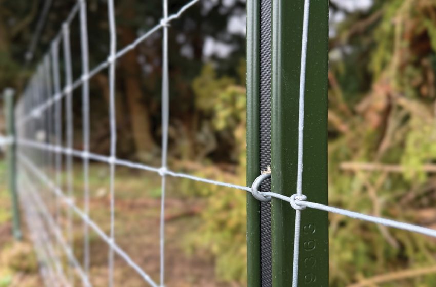  HOW A BESPOKE METAL FENCING SOLUTION DELIVERED STRENGTH, SPEED, AND SUBTLETY
