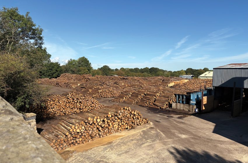  ETC SAWMILLS A NEW ERA OF INVESTMENT AND GROWTH