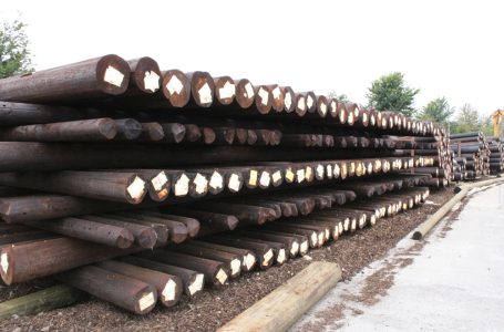 POWER POLES JOINS THE WPA