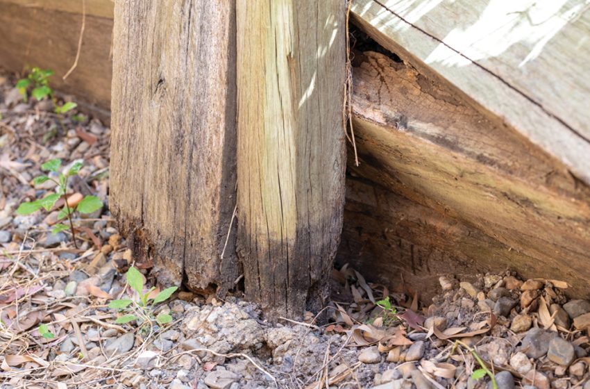  DURABILITY BY DESIGN – CLOSING THE GAP BETWEEN TIMBER’S POTENTIAL AND ITS PERFORMANCE