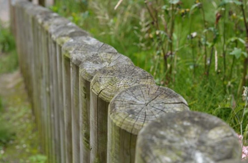  How Timber Boundaries Weather the Years: Treatment, Material and Maintenance
