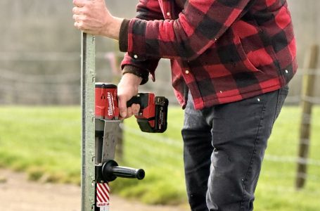 Removing Posts Can Be Just as Challenging as Installing Them