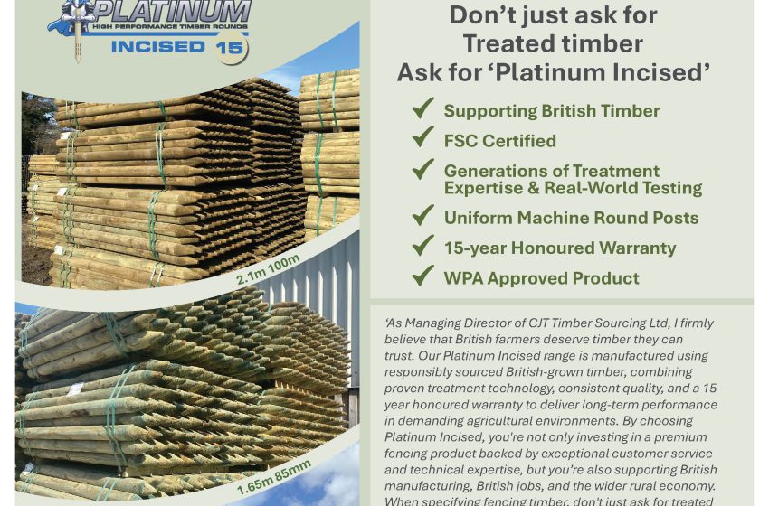  Backing British timber: CJT puts confidence at the heart of Platinum Incised