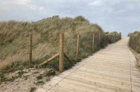 Two Questions Every Timber Buyer Should Ask